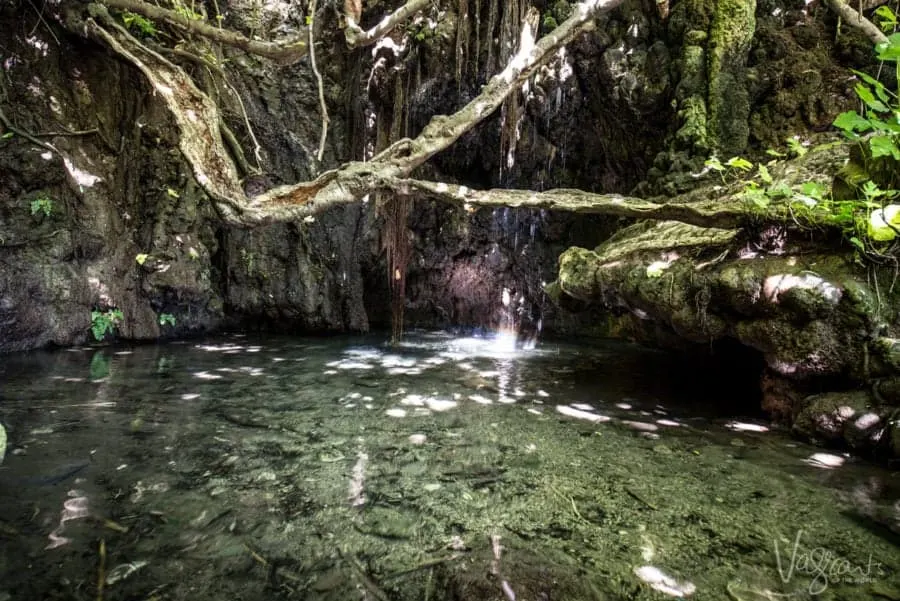 The Best of Cyprus - Baths of Aphrodite Akamas National Park