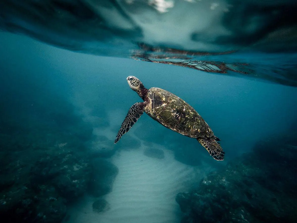 Must See Natural Wonders of The World