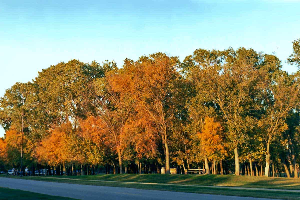 River Legacy Park in Arlington in Fall. 