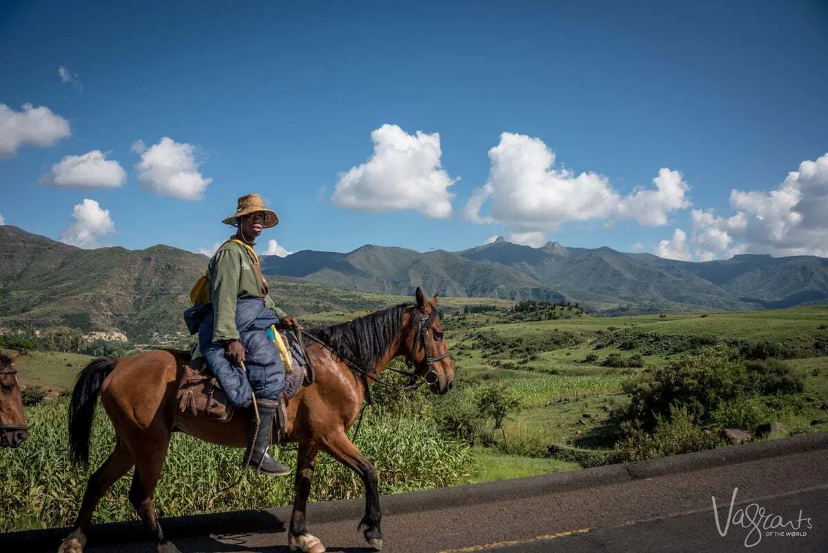 Besotho pony in Lesotho Africa