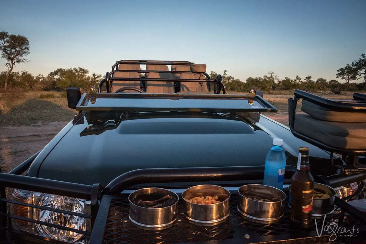 Africa on Foot Safari lodge. Evening game drive