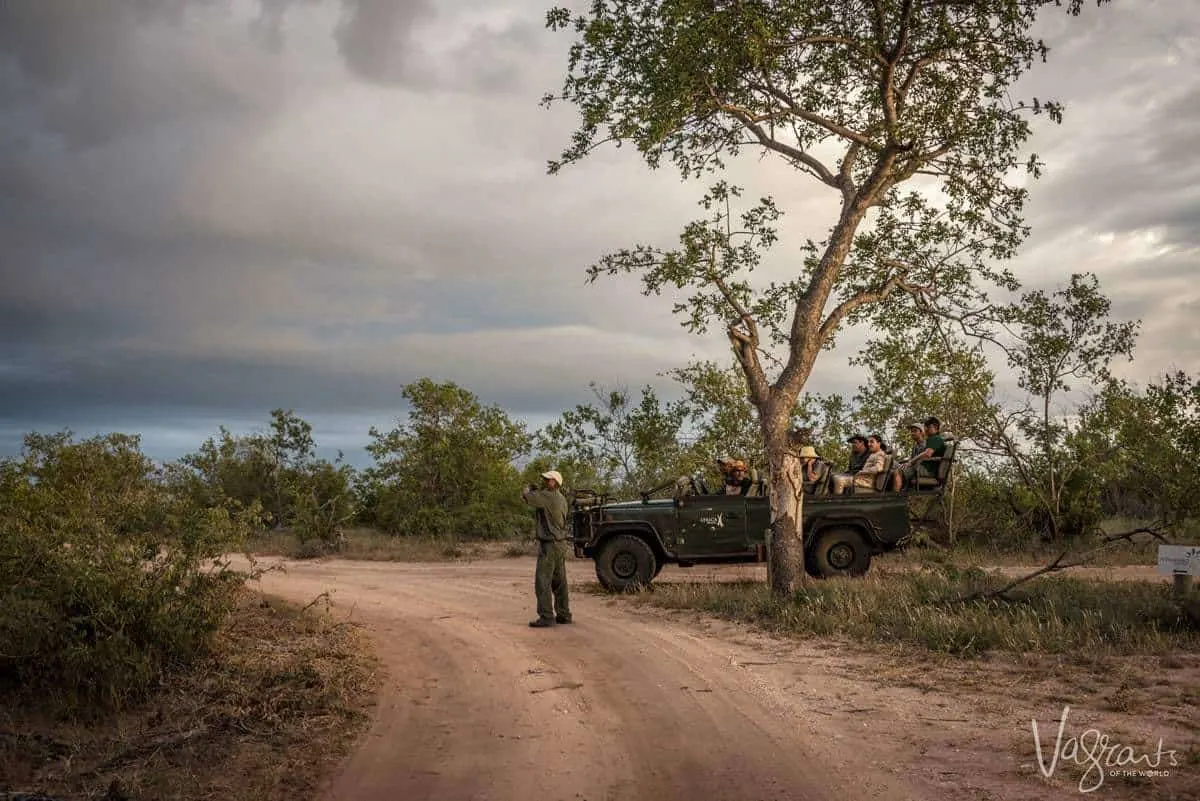 Evening Game Drive - Africa on Foot Safari Lodge