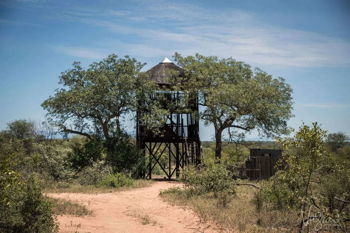 South African Safari Lodges - Africa on Foot