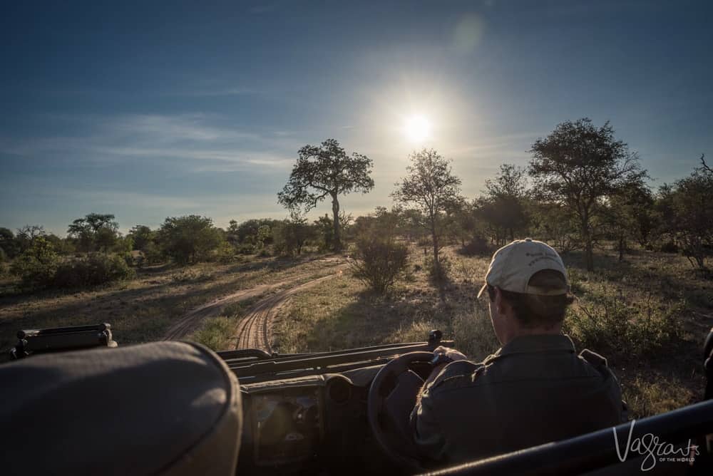 Game driving at nThambo Tree camp Safari Lodge