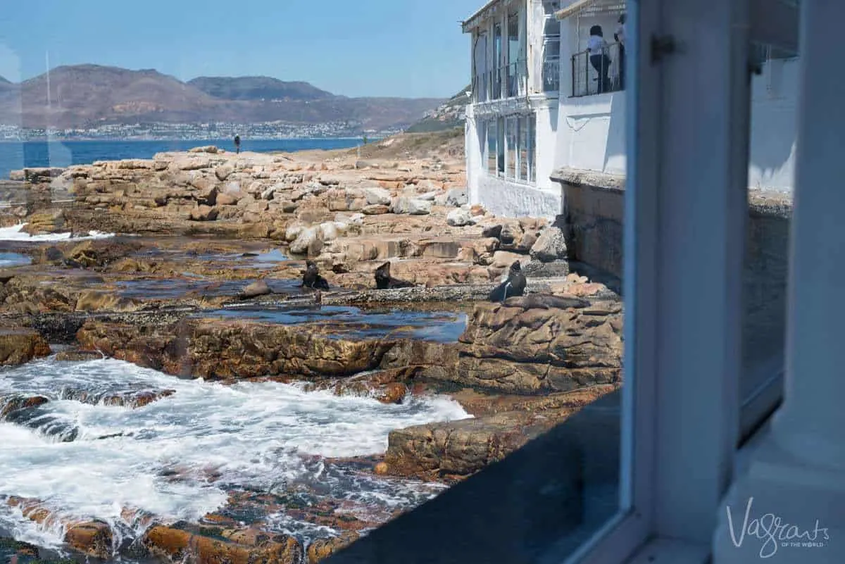 Places to visit near Cape Town - Kalk Bay