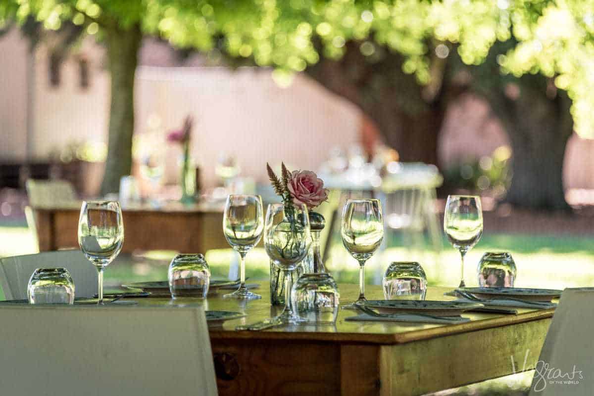 What to do in and around Cape Town - Visit wine regions