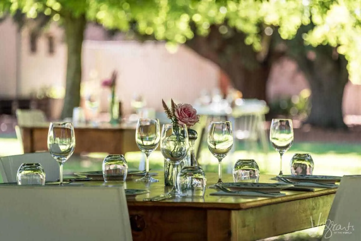 What to do in and around Cape Town - Visit wine regions