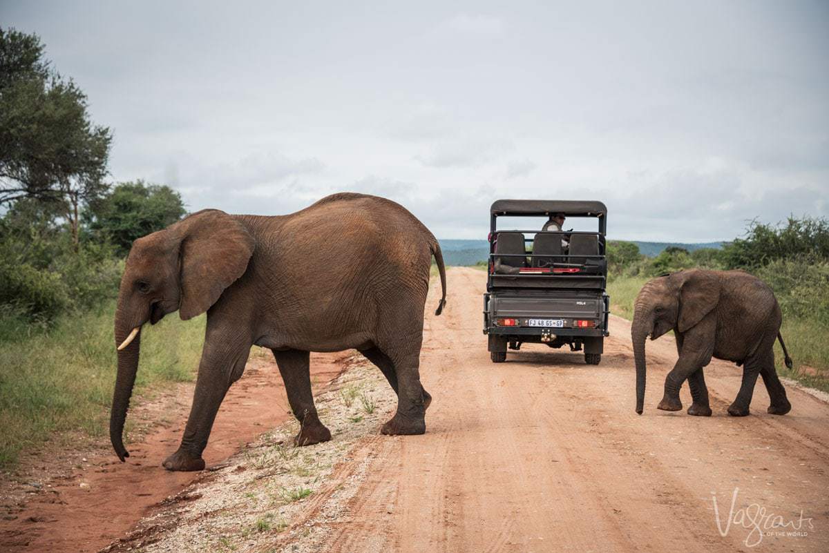 What kind of car is best for Kruger Self drive