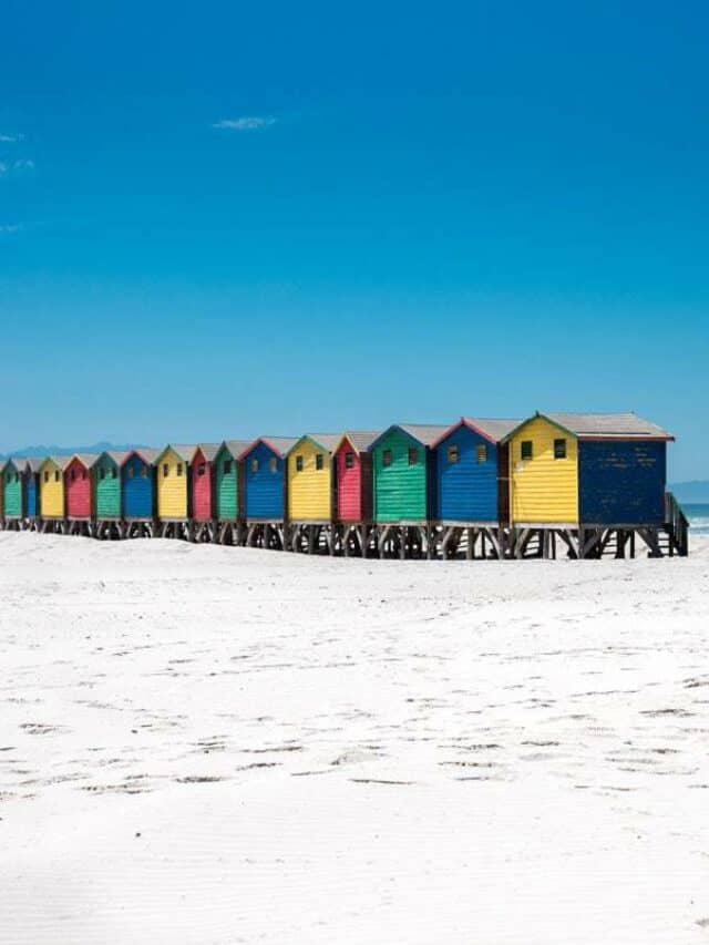 Best Things To Do In Cape Town Story