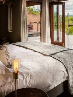 Luxury Safari South Africa - Madikwe Safari Lodge
