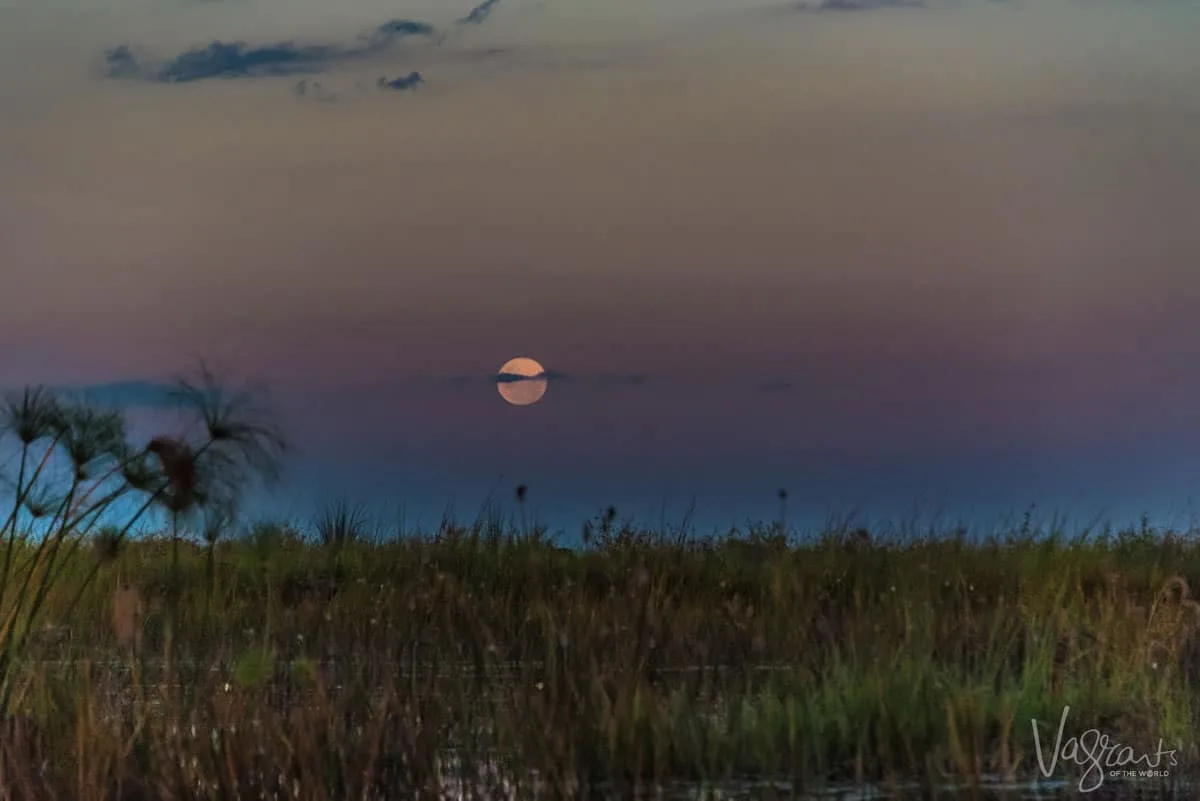 Okavango Delta Safari - Moon Rise