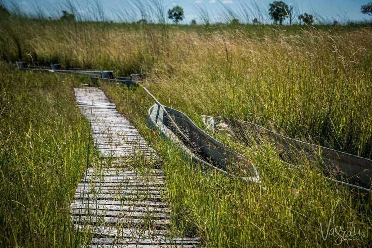 Okavango Delta Tours - Mokoro Tours