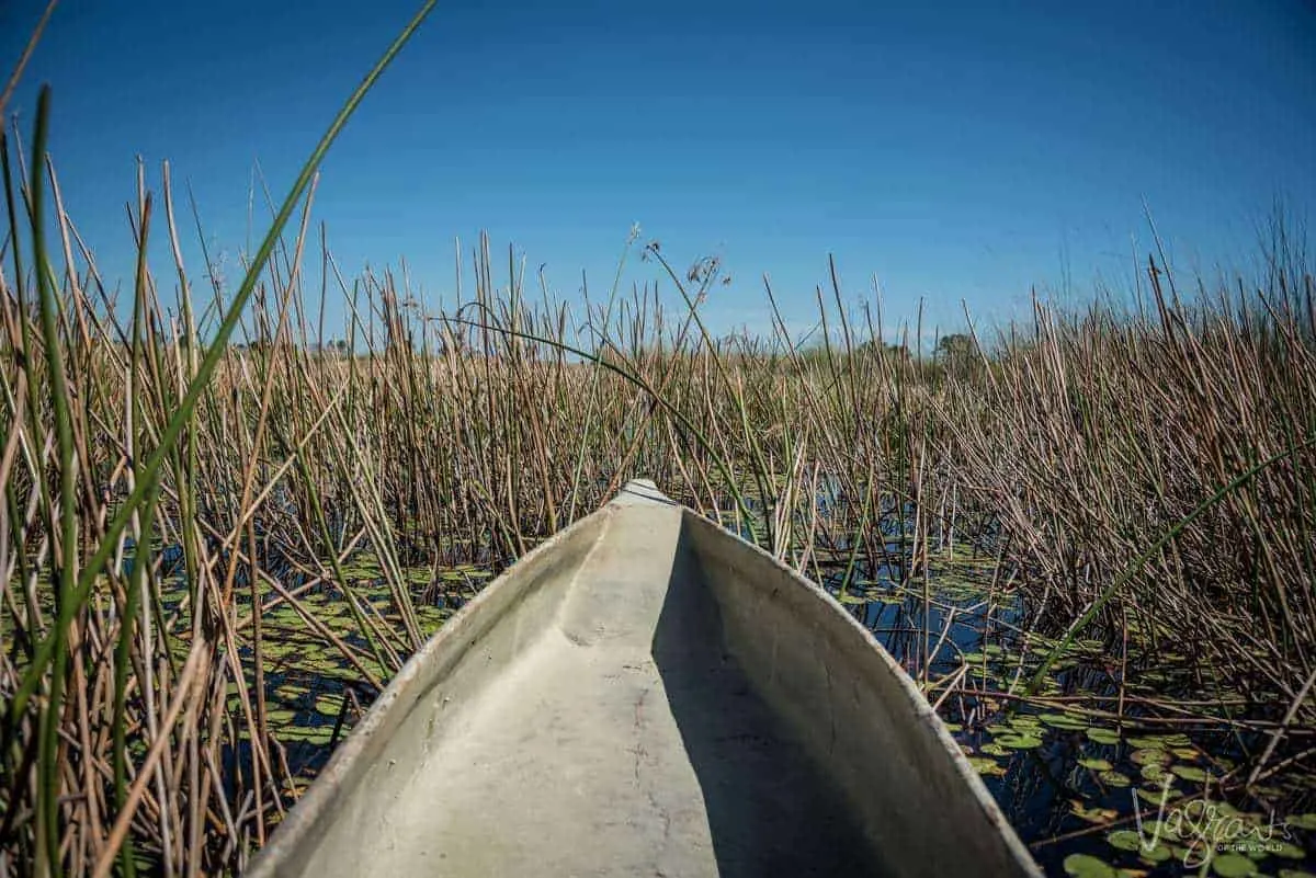 Okavango Delta Tours - Mokoro Tours