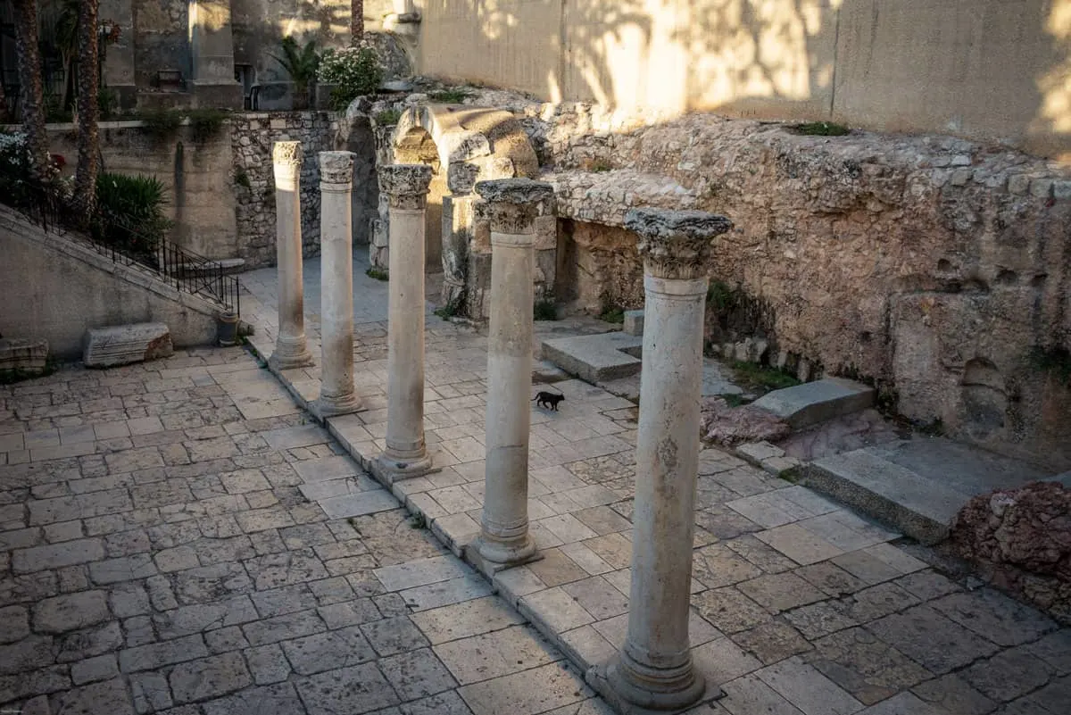Travel Photography Tips for Jerusalem Old City. Cat walking along the Cardo