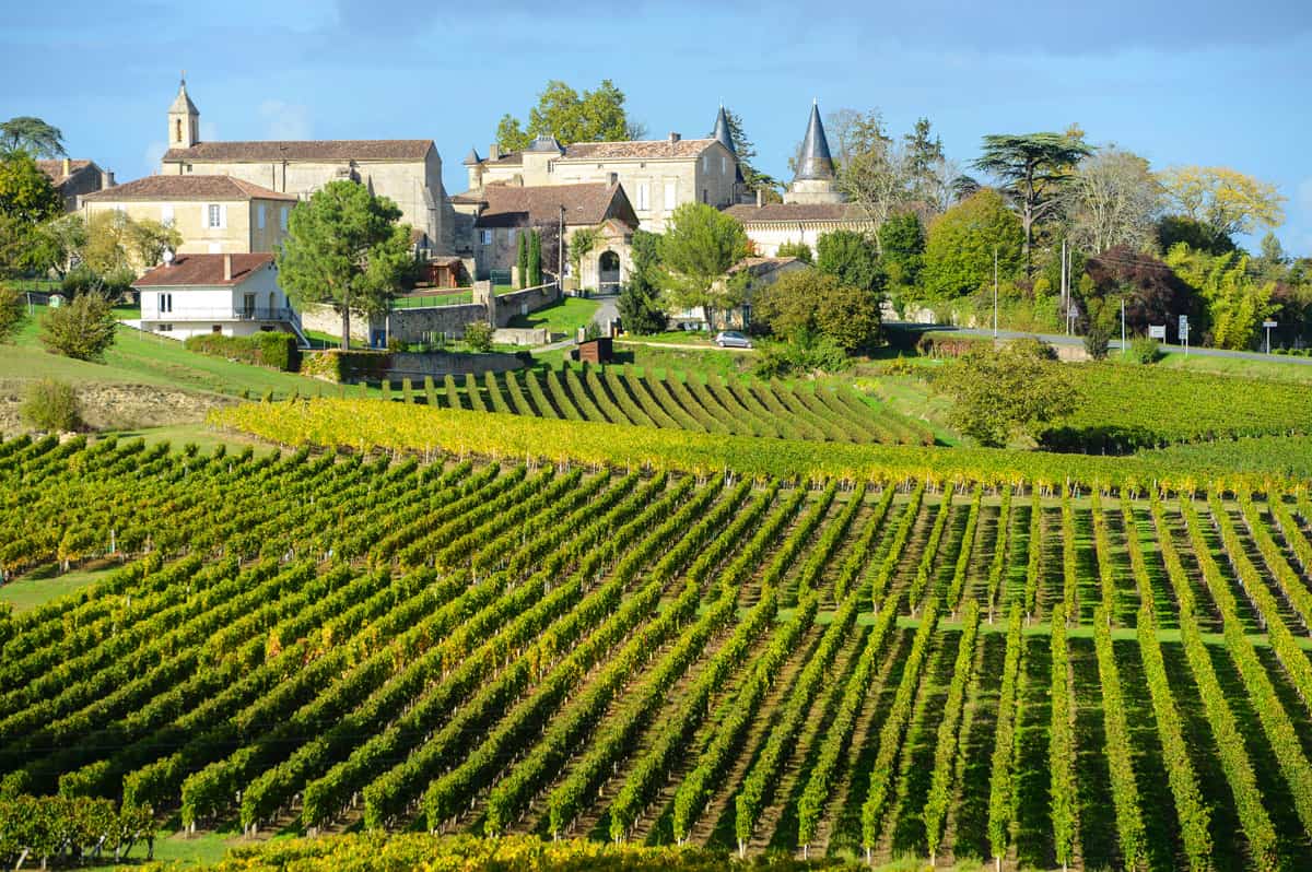 Green Vineyards of Saint Emilion in Bordeaux France. 