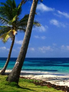 cropped-Big-Corn-Island-Nicaragua.jpg