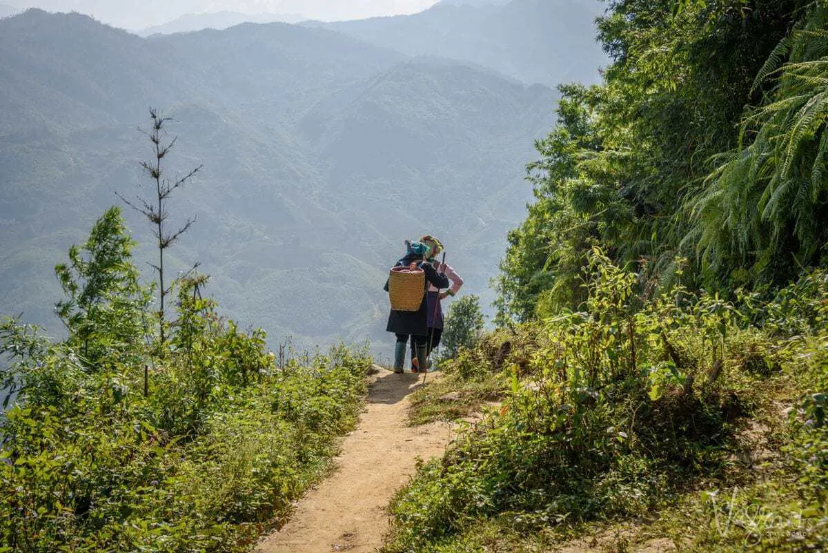 Local women hiking in Sapa mountains Vietnam