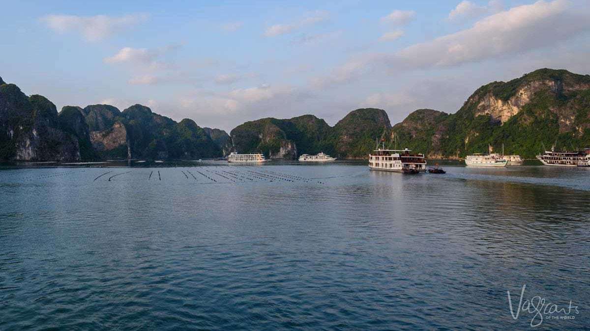 Boats cruising around a Pearl farm in Halong Vietnam. 