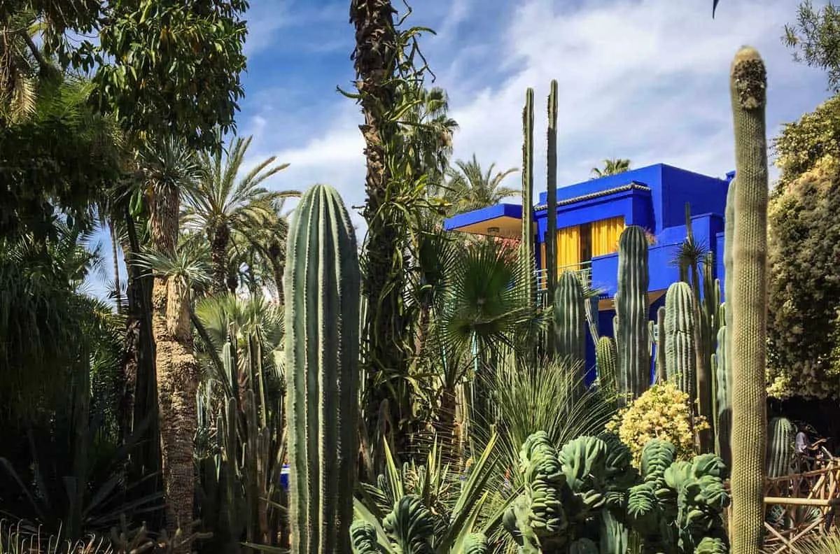 The famous cobolt blue villa and cactus gardens in the Jardin Majorelle Yves Saint Laurent Gardens and Museum in Marrakech
