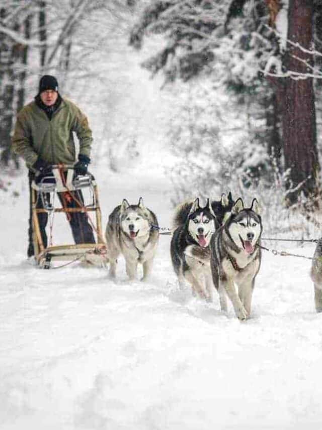 21 Unique Things to do in Europe in Winter Story