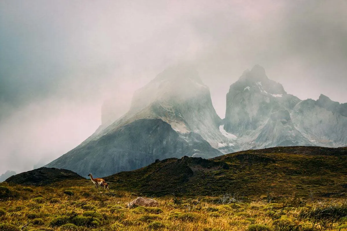 Reasons to visit Patagonia