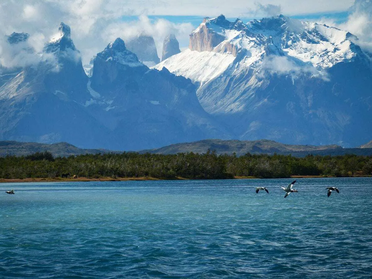 Rugged snowy mountains and choppy water in Patagonia