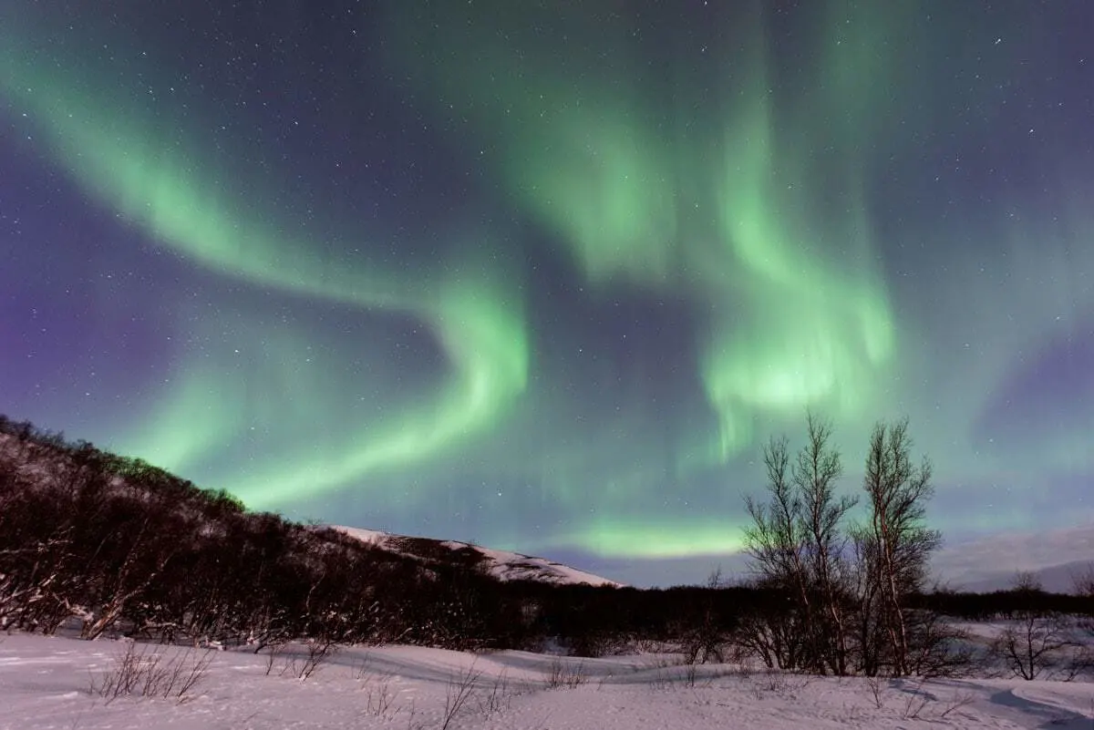 Green Aurora lights over a snow scape - Seeing the northern lights is one of the best things to do in Europe in the winter