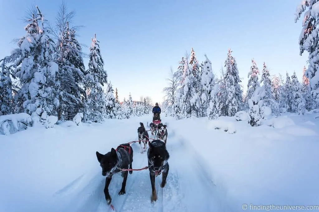 Man driving husky sled through the snow. A unique activity to try in Europe in Winter