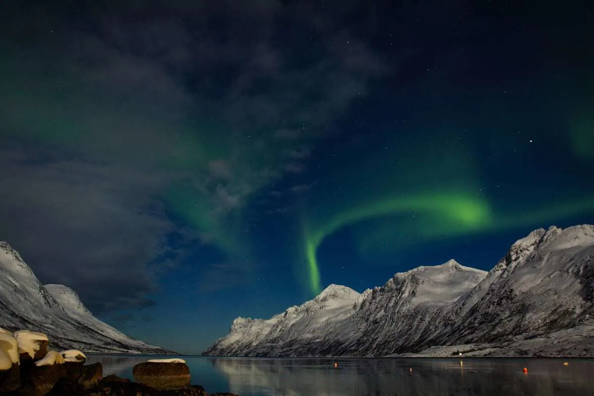 Winter cruises in Norway are a popular way for people to witness the northern lights.