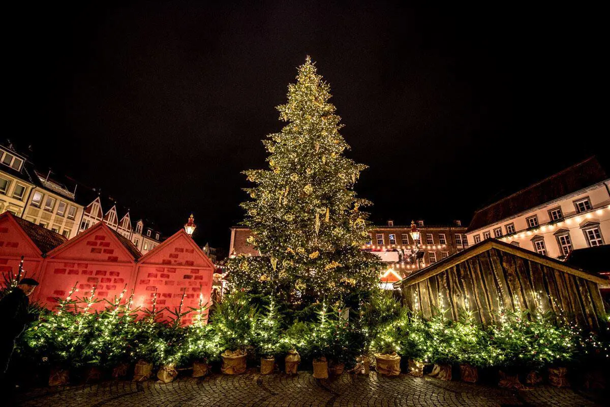 Giant Christmas Tree and markets in Germany.