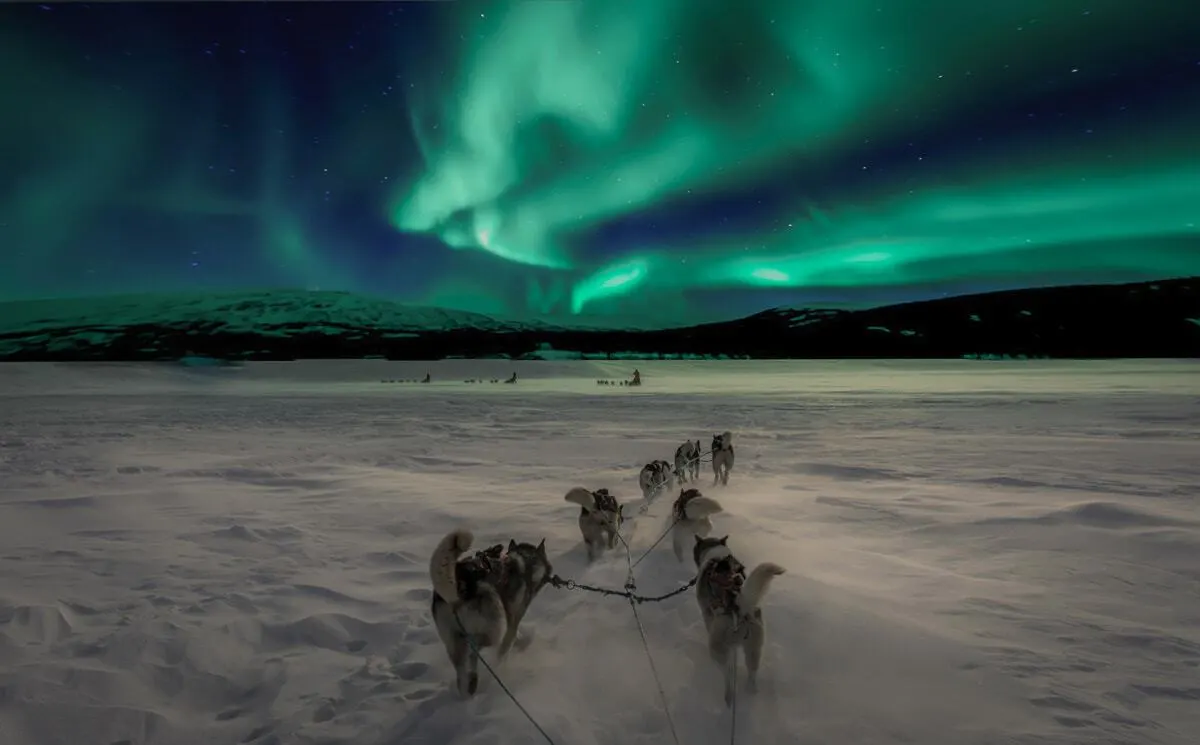 Dog sledding under the northern lights an activity on winter cruises in Norway