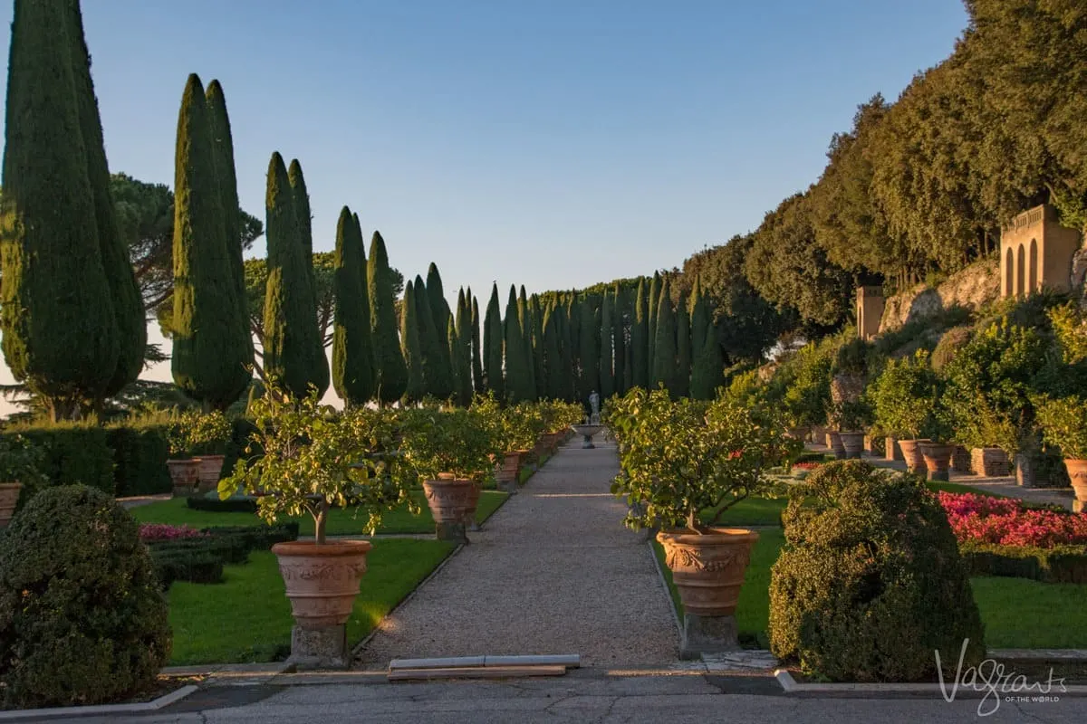 Pines and potted plants in Barberini Garden -Pontifical Villa Barberini. 