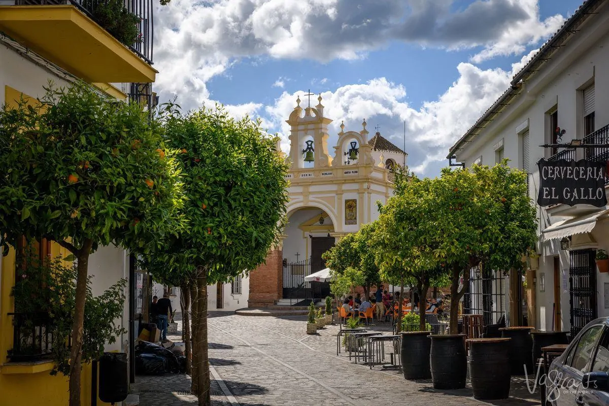 Orange tree lined street with yellow church and bell tower in Zahara de la Sierra Spain. 