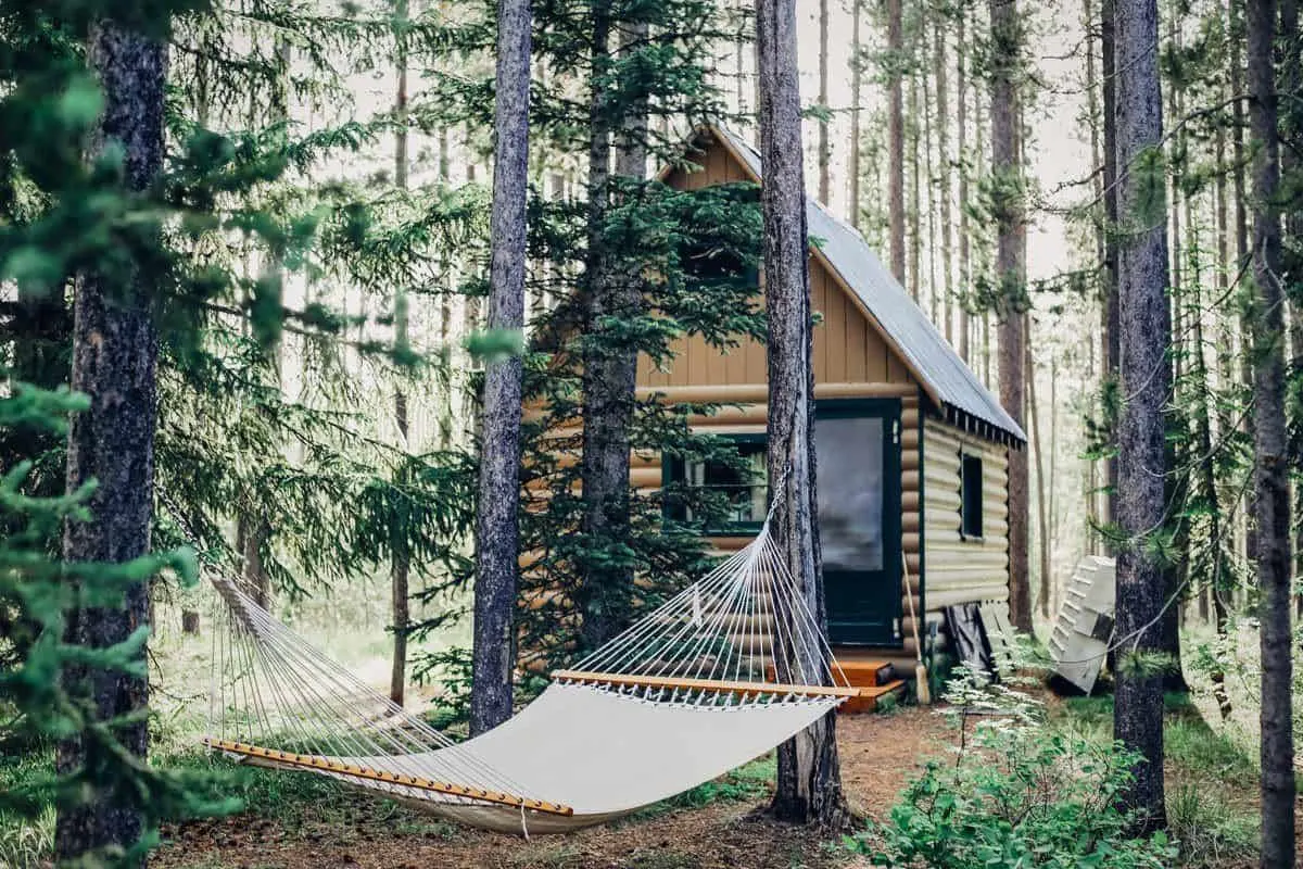 Hammock in front of log cabin in forest. 