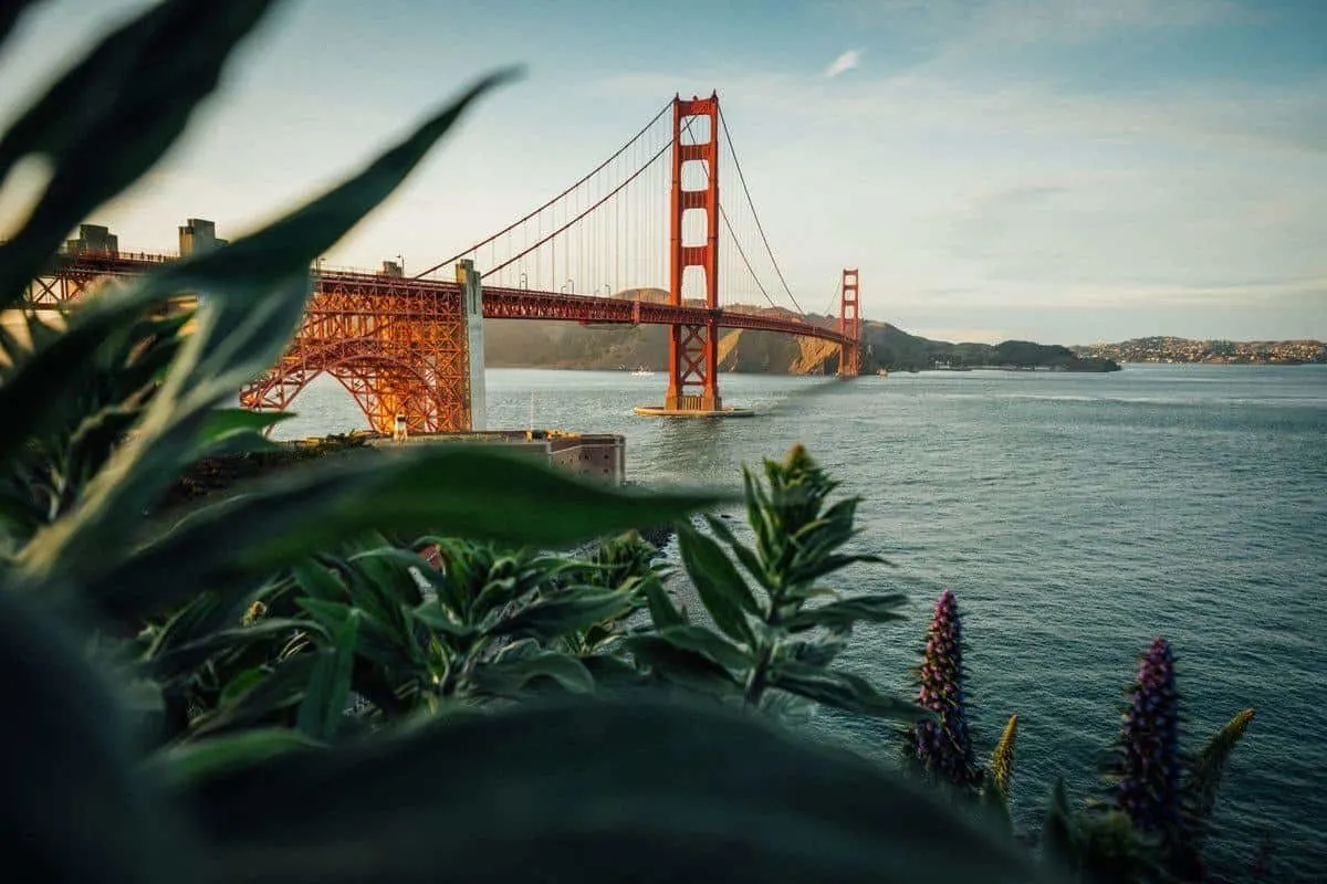 Golden gate bridge through some greenery. 