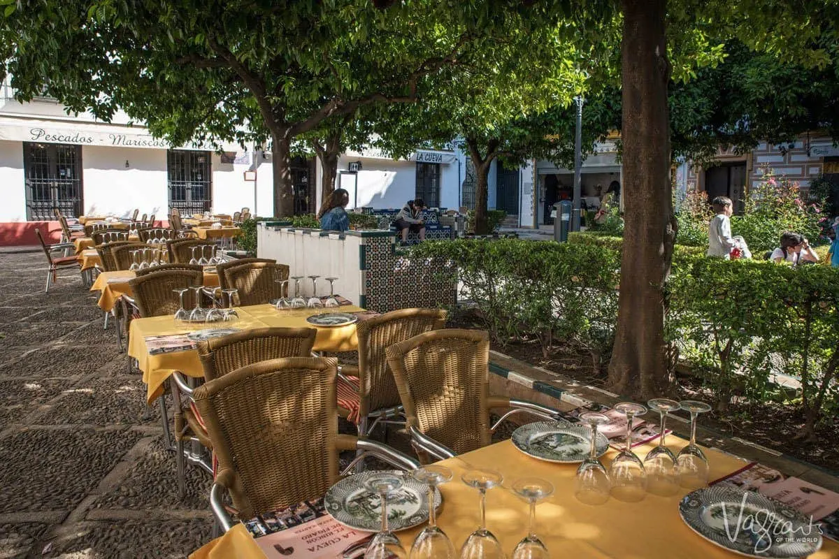 Set restaurant tables in plaza full of blossoming orange trees. People watching from the benches and restaurants in the plazas a great way to spend a day in seville.