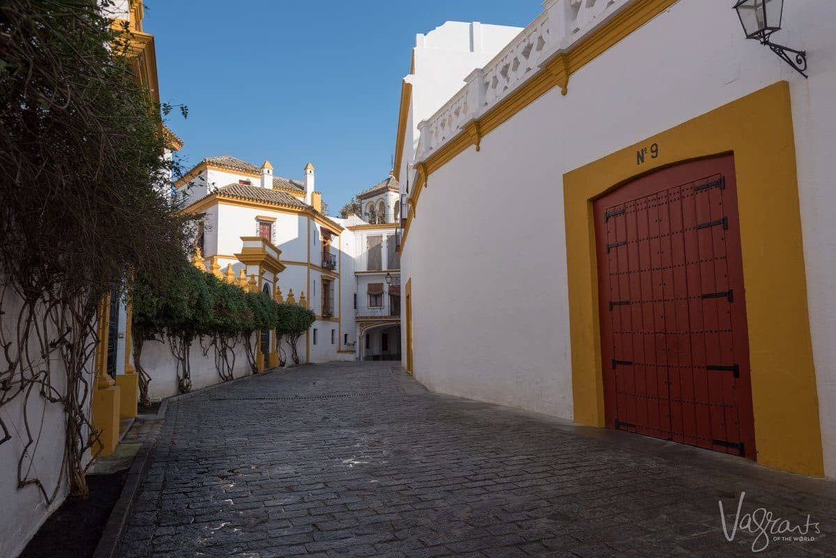 Vine covered walls and cobble lane around Plaza de toros de la Real Maestranza de Caballería de Sevilla. 