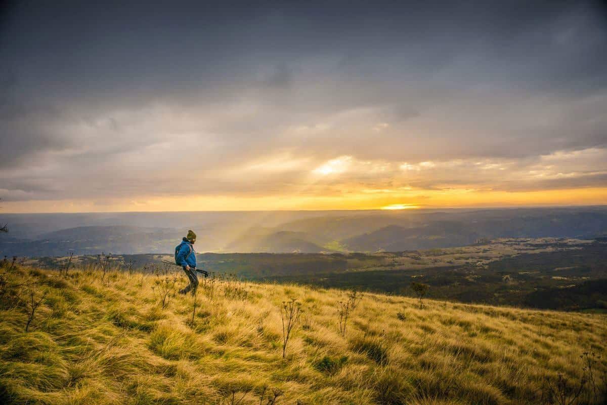 Man hiking through golden fields at sunset. 