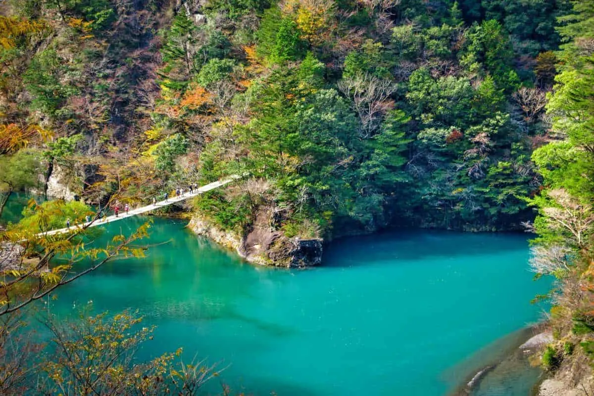 Trekkers crossing a river via suspension bridge surrounded by an autumn forest.