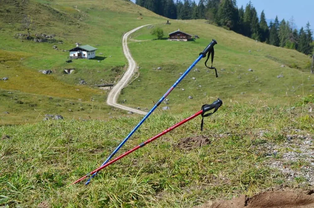 Two walking/trekking poles in the ground on a mountainside. 