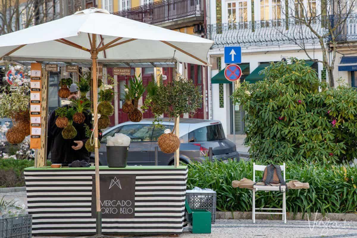 Man selling bespoke flowers and potted plants at Porto Belo Market in Porto.