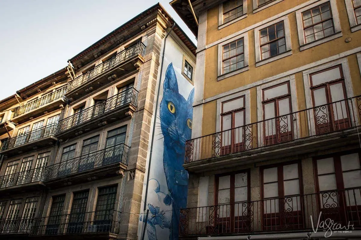 Blue cat with yellow eyes three story mural on the Ruas das Flores. 