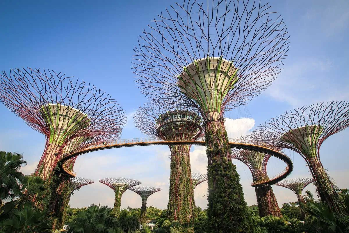 Super tree grove towers with metal branches spanning out,very sci fi, some of the best things to see and do in singapore are free, so you should include these in your Singapore itinerary.
