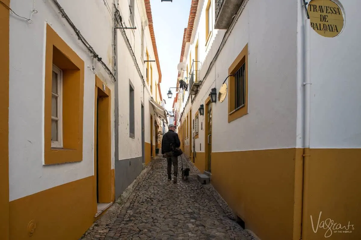 man and his very handsome dog walking down a cobble stone street following his alentejo guide and looking for some black pork as alentejo food is outstanding.