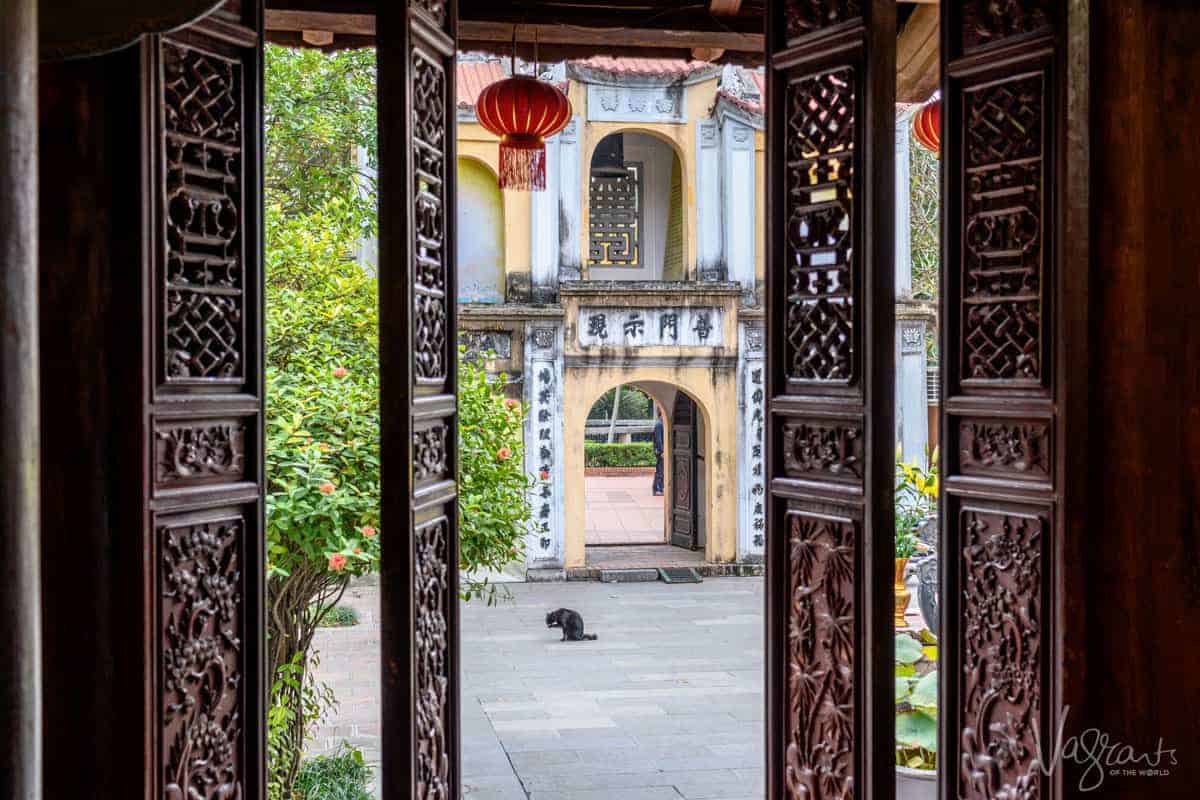 black cat through carved wooden arches