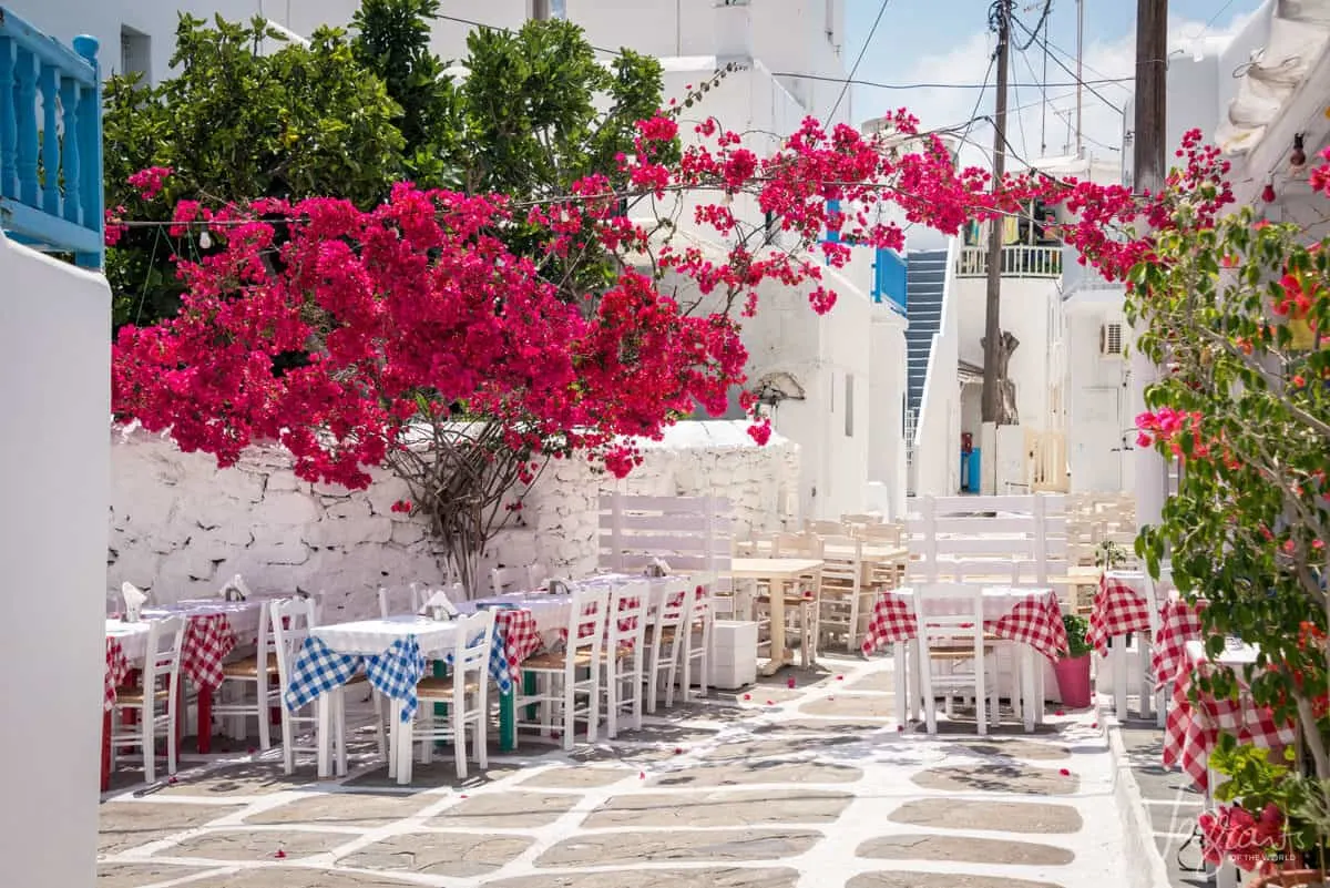 Red flowers and greek table settings on a greek island. 