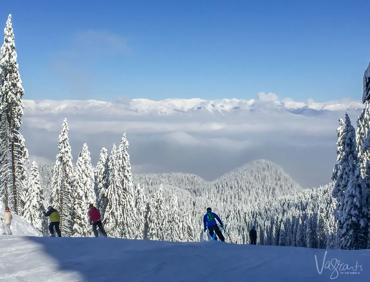 Skiers on a mountain with snow covered trees and deep snow.