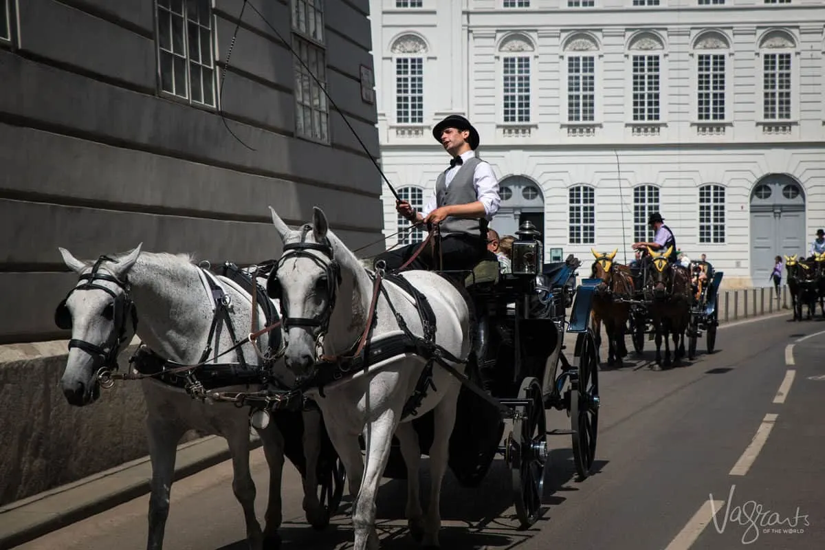 2 horses and carriage on the street in Vienna.