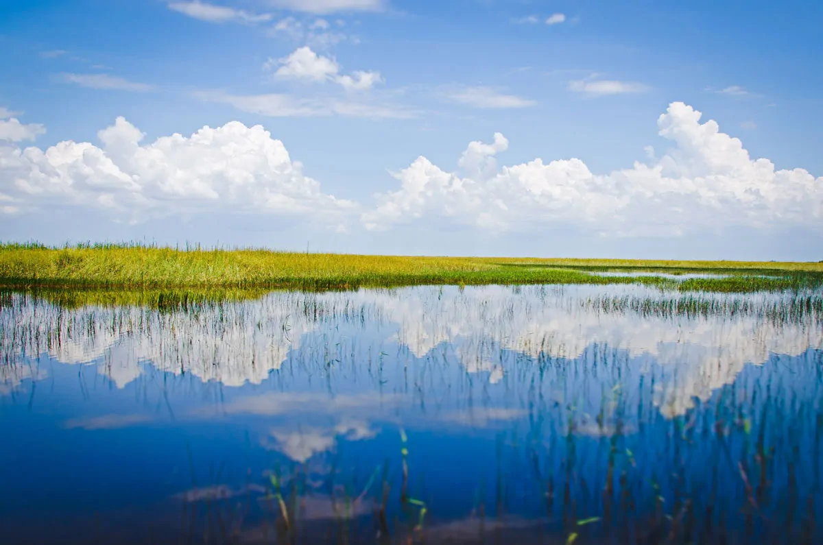 Sky mirrored in the water in the Everglades wetlands in Florida. 