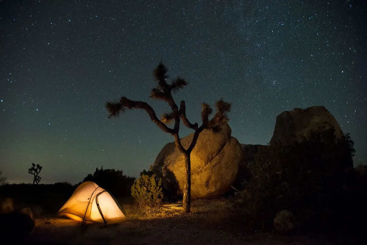 A small dome tent with light on next to a Joshua tree with a stary night sky in the background.